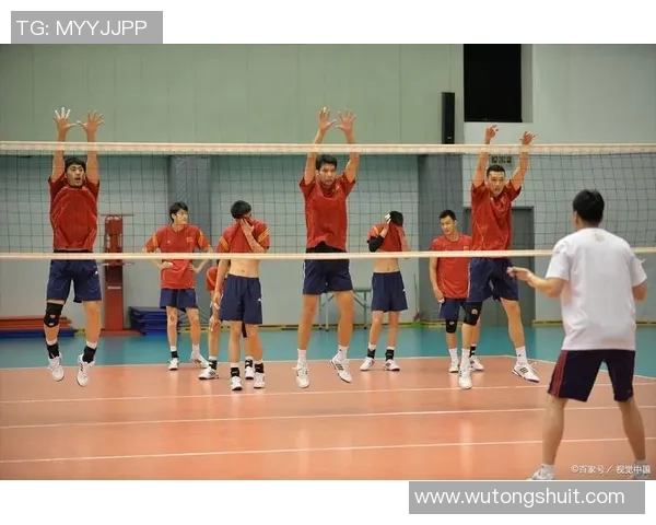 科学排球：团队协作训练方法